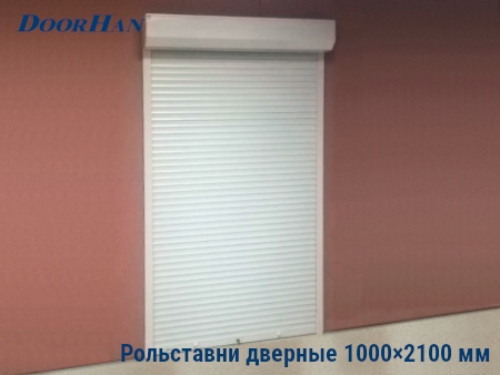 Рольставни на двери 1000×2100 мм в Новгороде от 27049 руб.