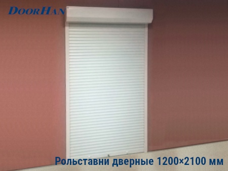 Рольставни на двери 1200×2100 мм в Новгороде от 29795 руб.