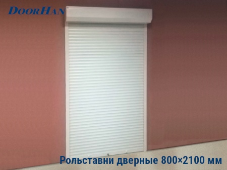 Рольставни на двери 800×2100 мм в Новгороде от 24302 руб.